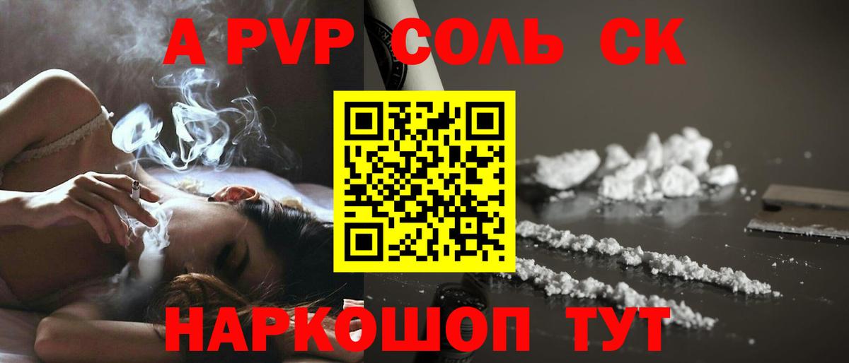 Alfa_PVP СК Майкоп
