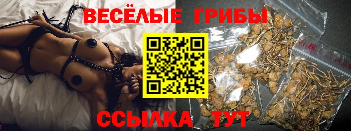 Псилоцибиновые грибы Psilocybine cubensis  купить  сайты  Майкоп  Вход с VPN 